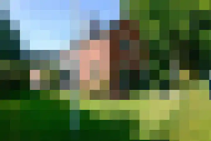 Noorderdwarsvaart 113 a Drachten thumbnail 63