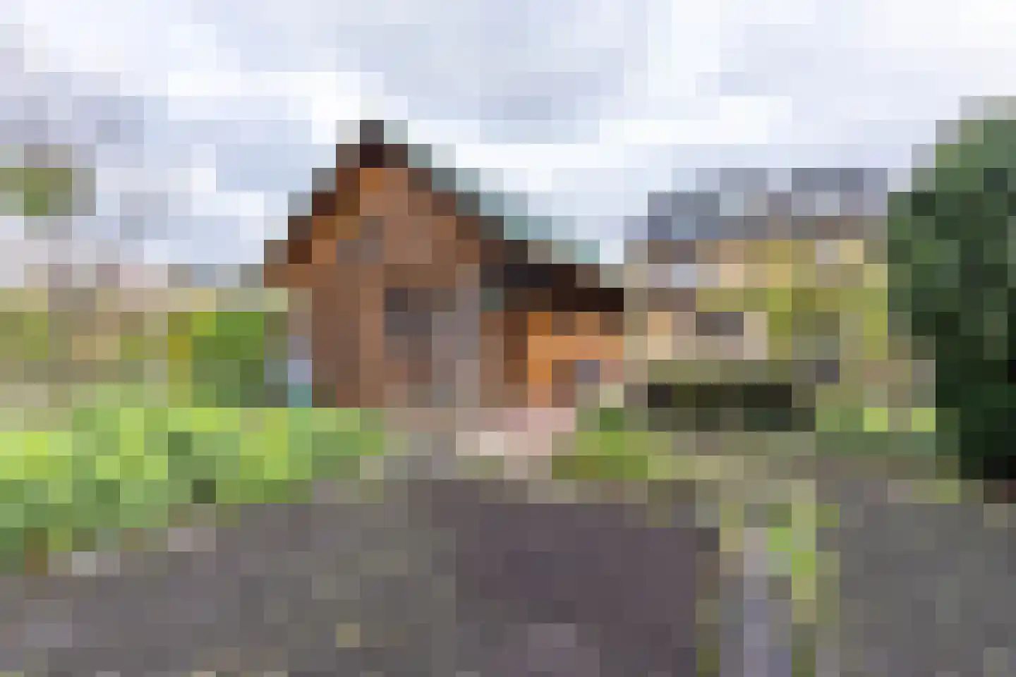Noorderdwarsvaart 183 Drachten thumbnail 55
