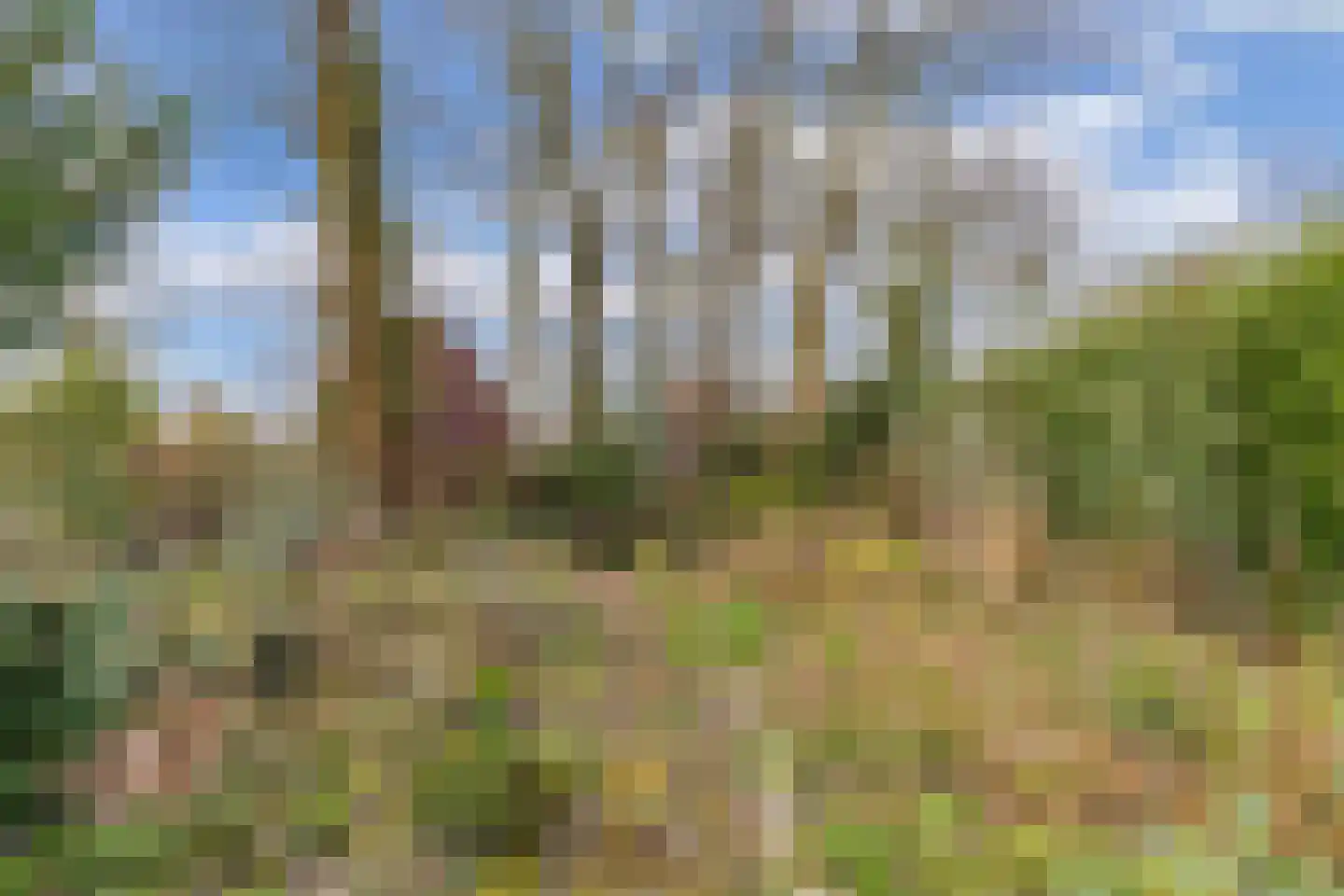 Noorderdwarsvaart 205 Drachten thumbnail 39