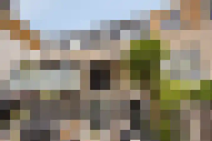Noordereiland 110 Zeewolde thumbnail 42