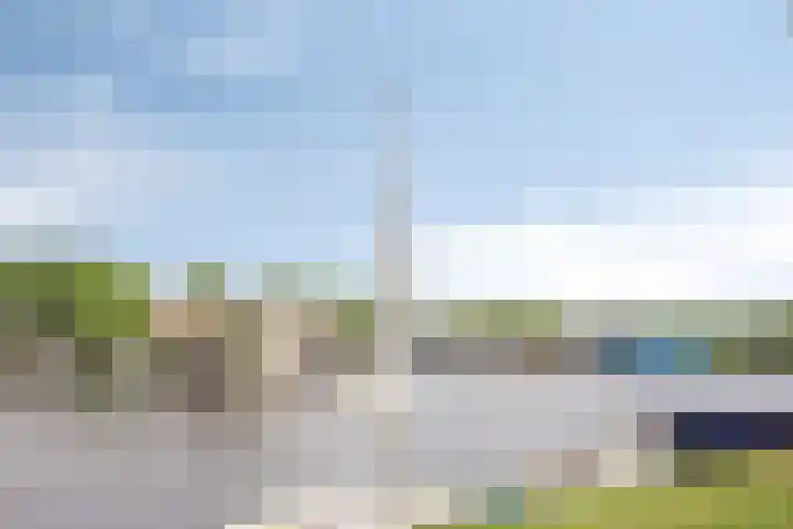 Noordereiland 110 Zeewolde thumbnail 50
