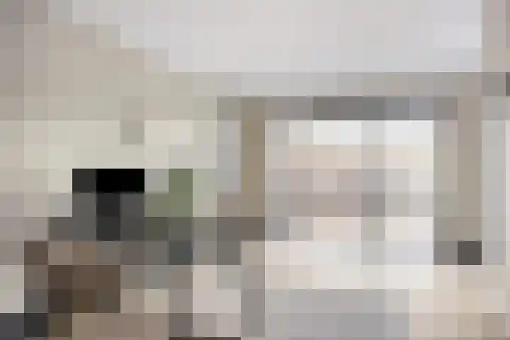 Noordereiland 110 Zeewolde thumbnail 8