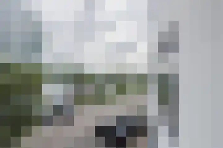 Noordereiland 116 Zeewolde thumbnail 25