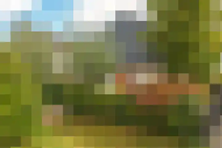 Noordereiland 12 Arnhem thumbnail 103
