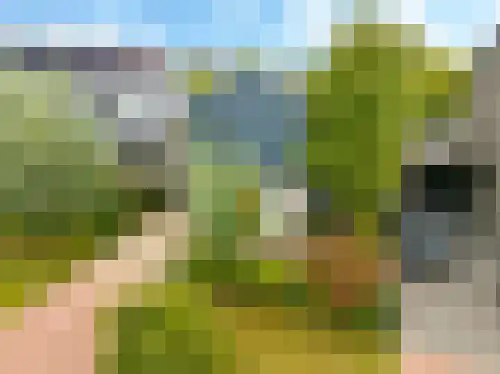 Noordereiland 12 Arnhem thumbnail 105