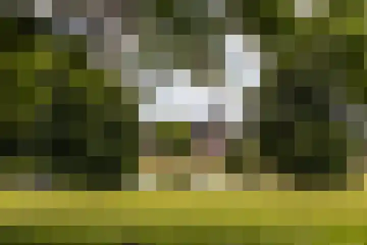 Noordereiland 12 Arnhem thumbnail 112