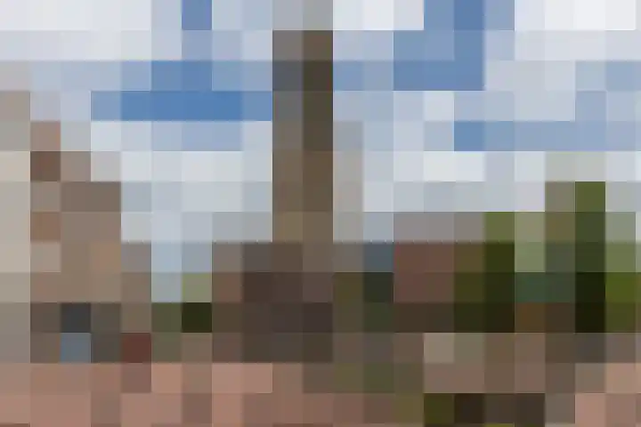 Noordereiland 12 Arnhem thumbnail 113