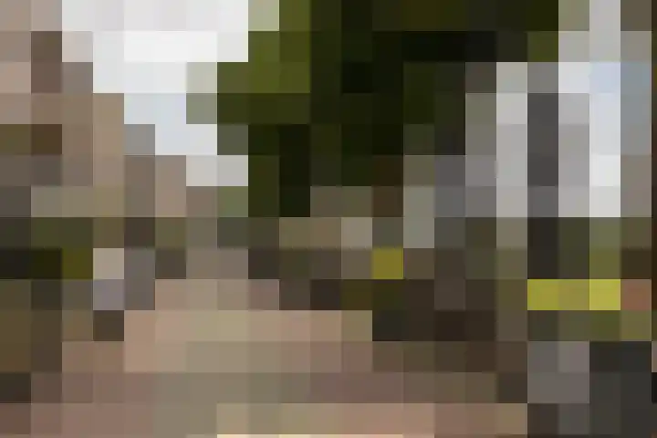 Noordereiland 12 Arnhem thumbnail 114