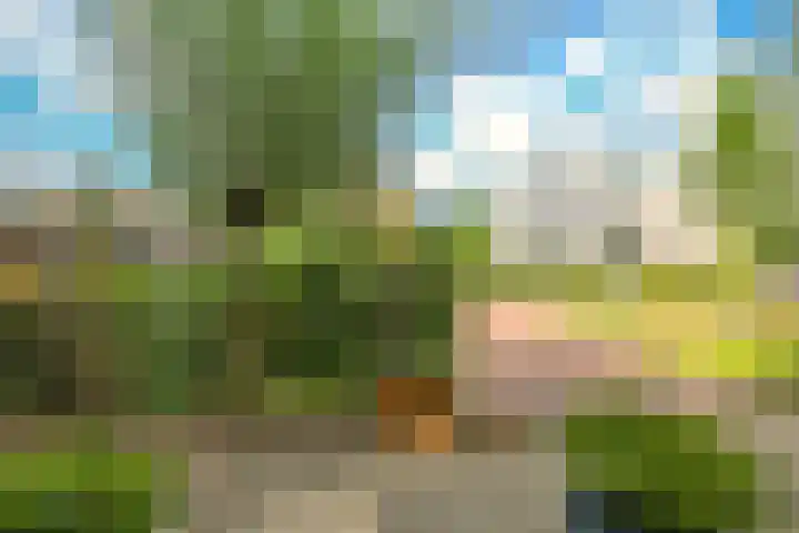 Noordereiland 12 Arnhem thumbnail 15