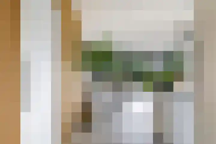 Noordereiland 12 Arnhem thumbnail 20