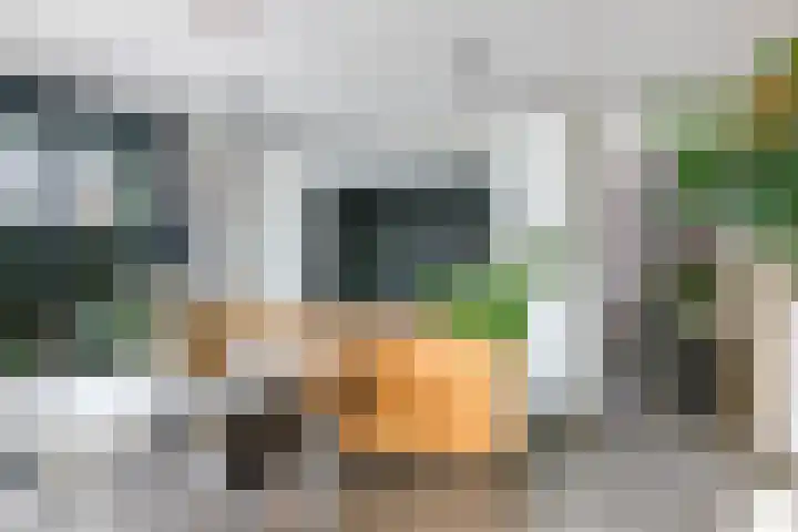 Noordereiland 12 Arnhem thumbnail 22