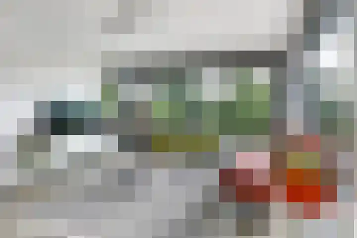 Noordereiland 12 Arnhem thumbnail 24