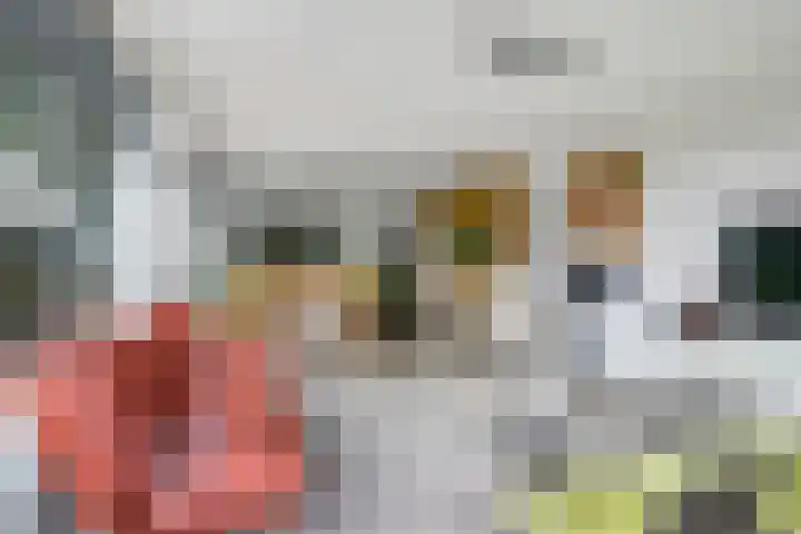 Noordereiland 12 Arnhem thumbnail 25