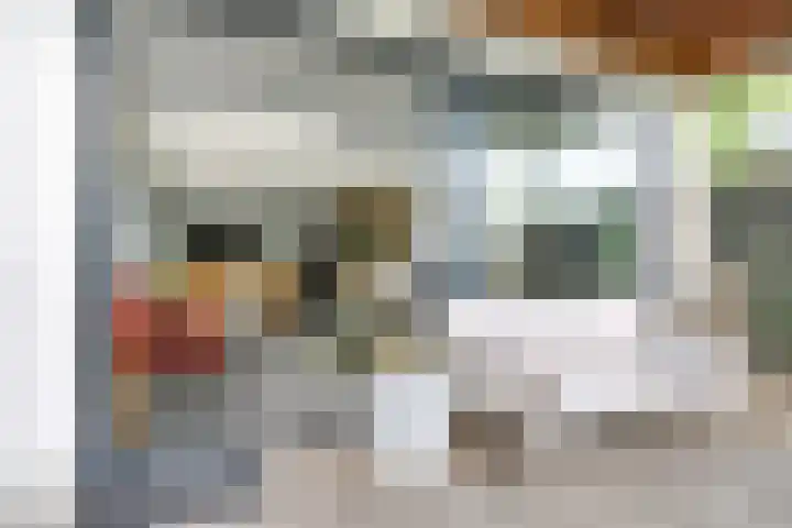 Noordereiland 12 Arnhem thumbnail 27