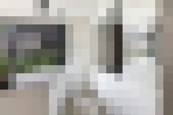 Noordereiland 12 Arnhem thumbnail 32