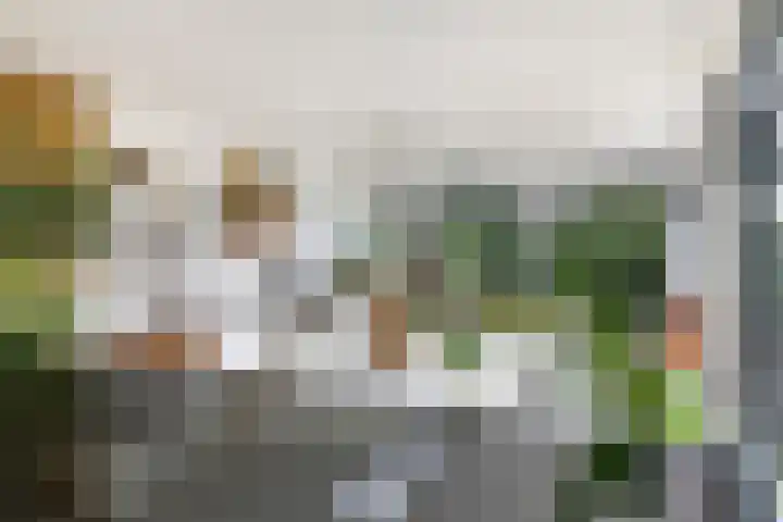 Noordereiland 12 Arnhem thumbnail 36