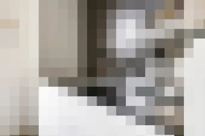 Noordereiland 12 Arnhem thumbnail 37