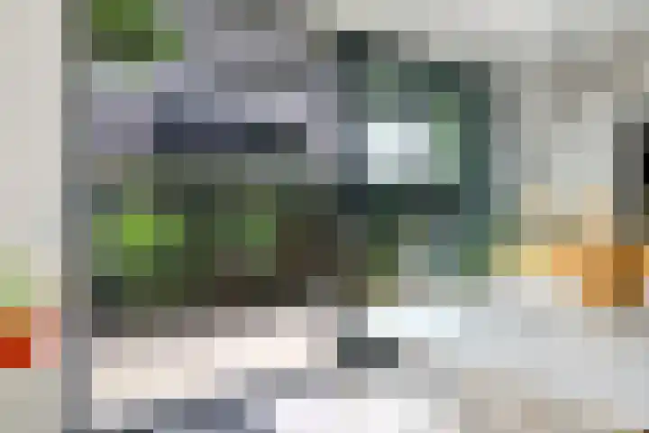 Noordereiland 12 Arnhem thumbnail 38