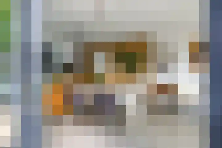 Noordereiland 12 Arnhem thumbnail 39