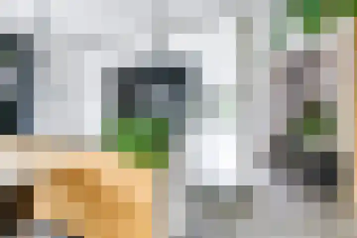Noordereiland 12 Arnhem thumbnail 4