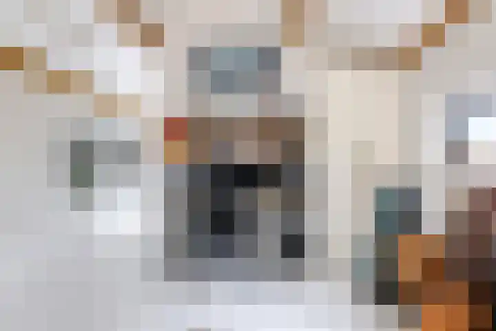 Noordereiland 12 Arnhem thumbnail 48