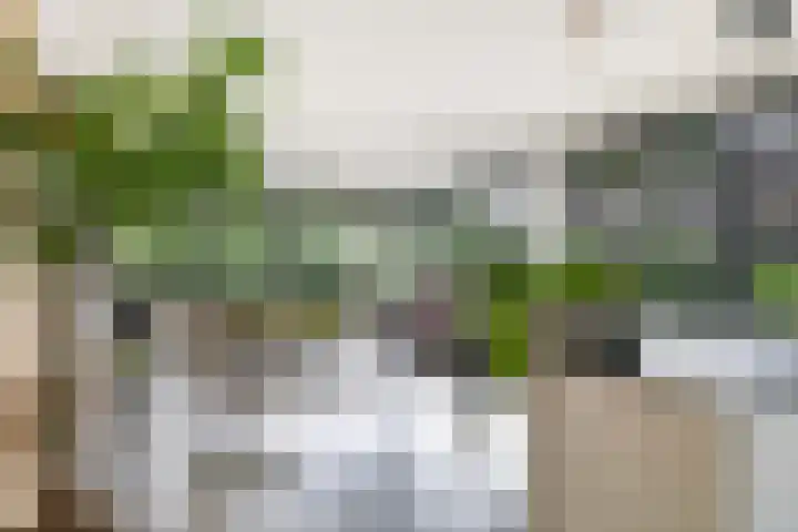 Noordereiland 12 Arnhem thumbnail 5
