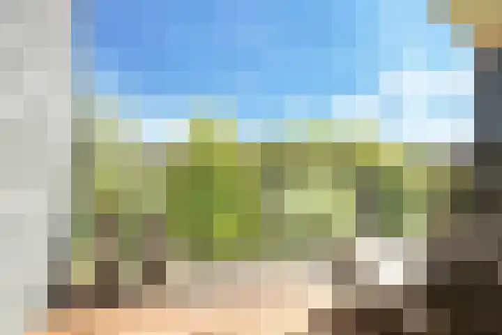 Noordereiland 12 Arnhem thumbnail 52