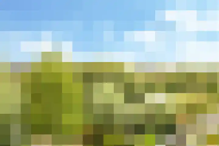 Noordereiland 12 Arnhem thumbnail 53