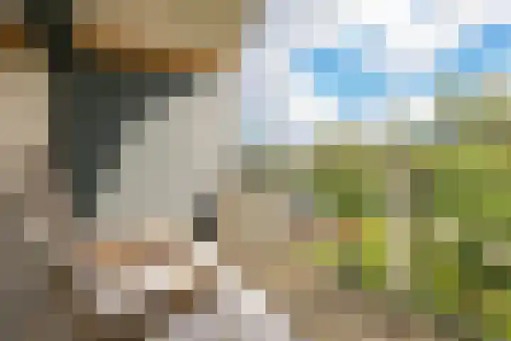 Noordereiland 12 Arnhem thumbnail 54