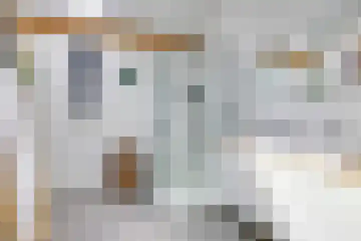 Noordereiland 12 Arnhem thumbnail 58