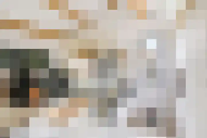 Noordereiland 12 Arnhem thumbnail 62
