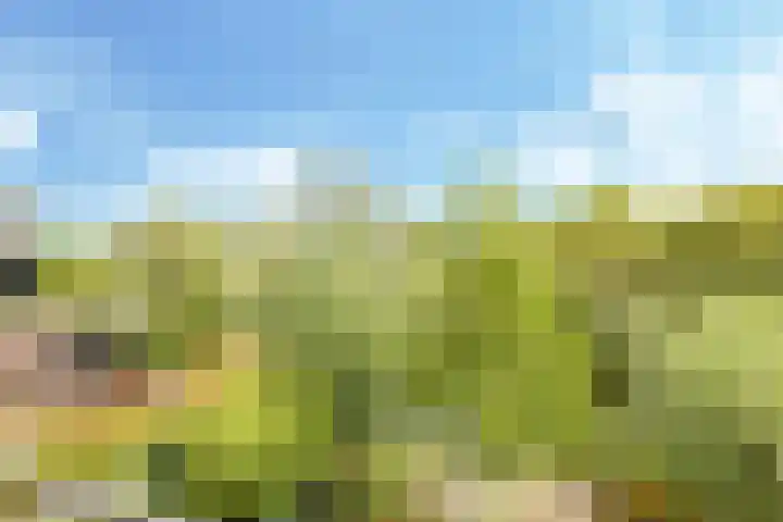 Noordereiland 12 Arnhem thumbnail 65