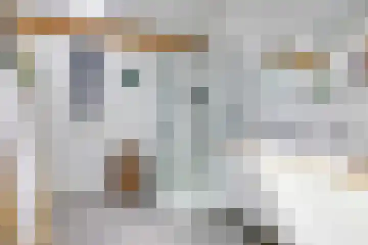 Noordereiland 12 Arnhem thumbnail 7