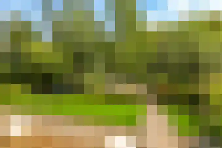 Noordereiland 12 Arnhem thumbnail 73