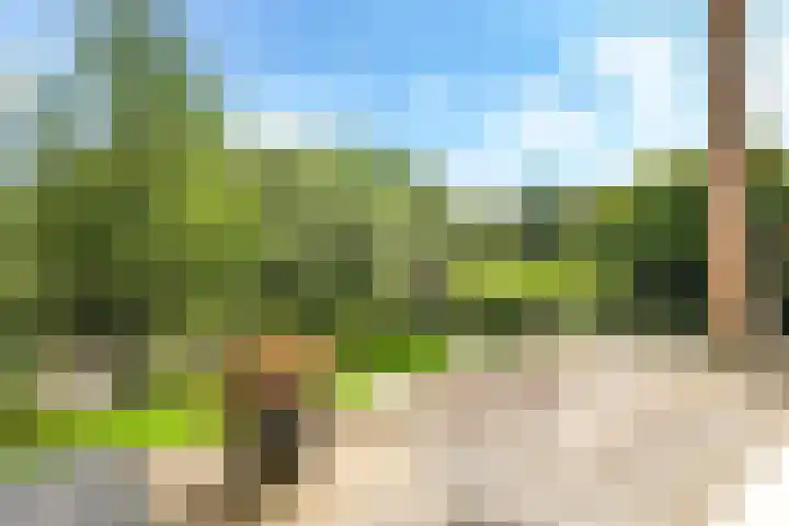 Noordereiland 12 Arnhem thumbnail 75