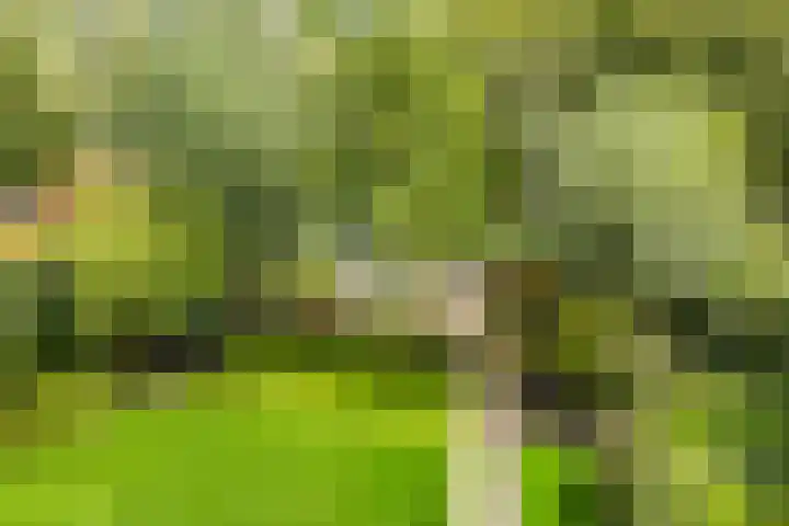 Noordereiland 12 Arnhem thumbnail 76