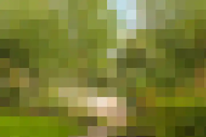 Noordereiland 12 Arnhem thumbnail 77