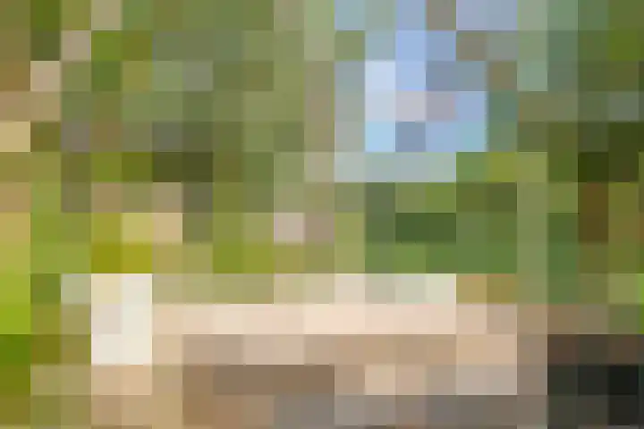 Noordereiland 12 Arnhem thumbnail 78