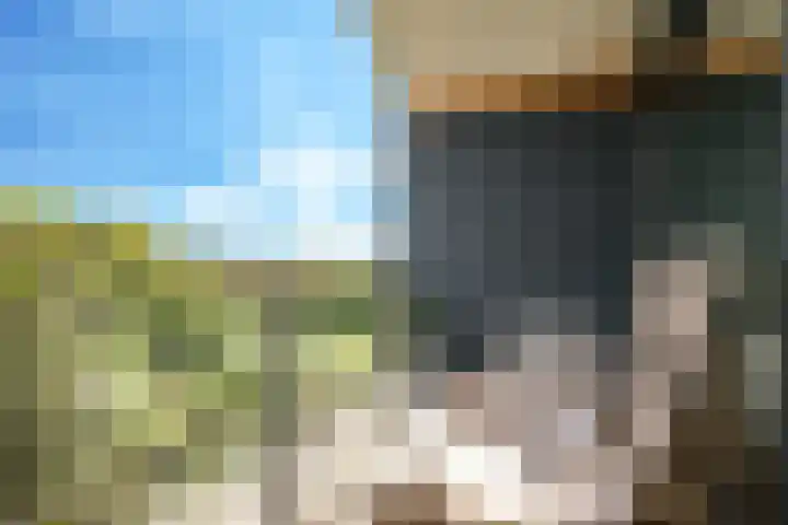 Noordereiland 12 Arnhem thumbnail 8