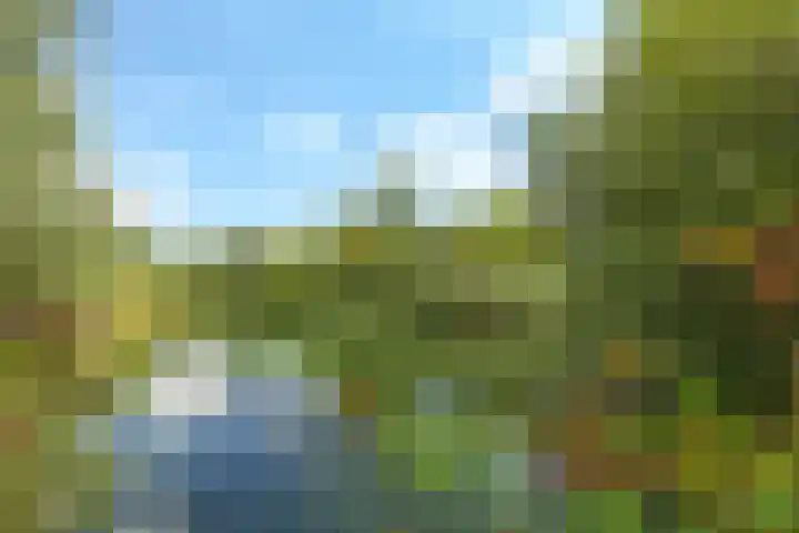 Noordereiland 12 Arnhem thumbnail 81