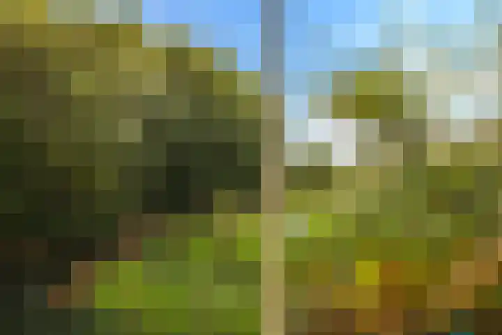 Noordereiland 12 Arnhem thumbnail 82