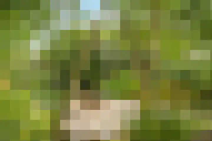 Noordereiland 12 Arnhem thumbnail 83