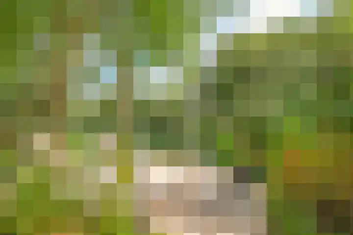 Noordereiland 12 Arnhem thumbnail 84