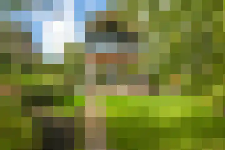 Noordereiland 12 Arnhem thumbnail 85