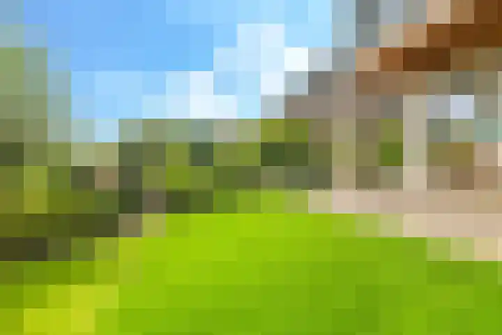 Noordereiland 12 Arnhem thumbnail 86