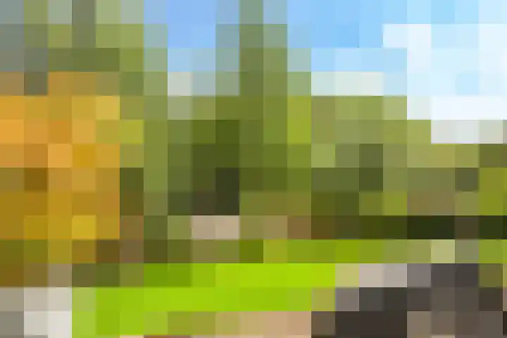 Noordereiland 12 Arnhem thumbnail 89