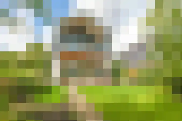 Noordereiland 12 Arnhem thumbnail 9