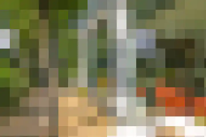 Noordereiland 12 Arnhem thumbnail 92
