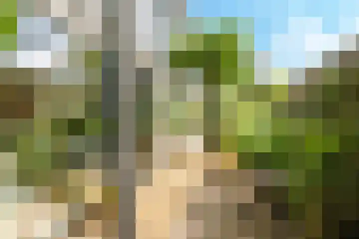 Noordereiland 12 Arnhem thumbnail 93
