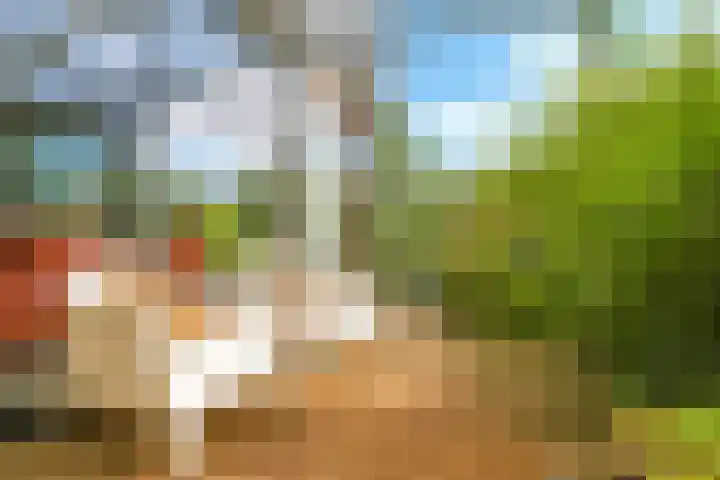 Noordereiland 12 Arnhem thumbnail 94